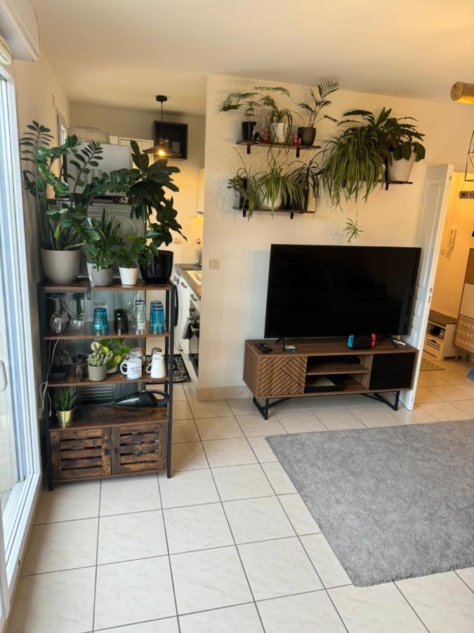 Appartement Centre Avec Balcon Parking Prive 올리언스 외부 사진