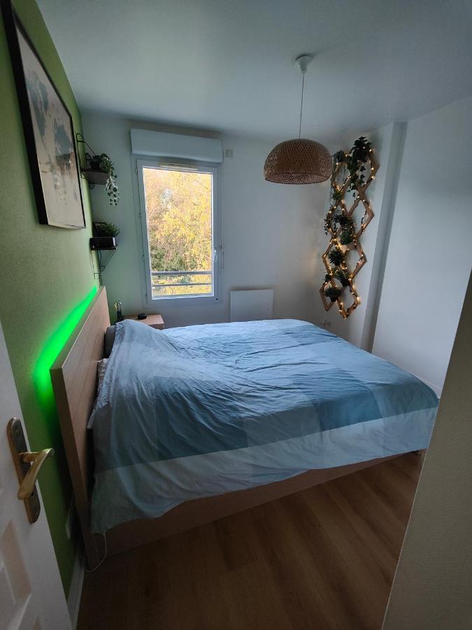 Appartement Centre Avec Balcon Parking Prive 올리언스 외부 사진
