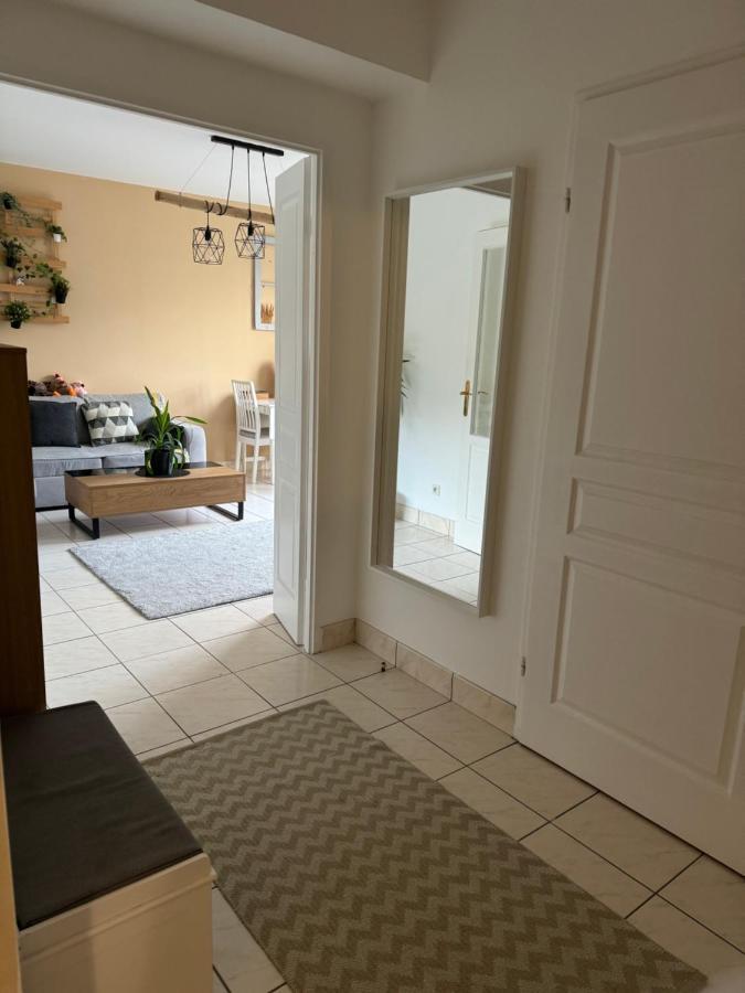 Appartement Centre Avec Balcon Parking Prive 올리언스 외부 사진